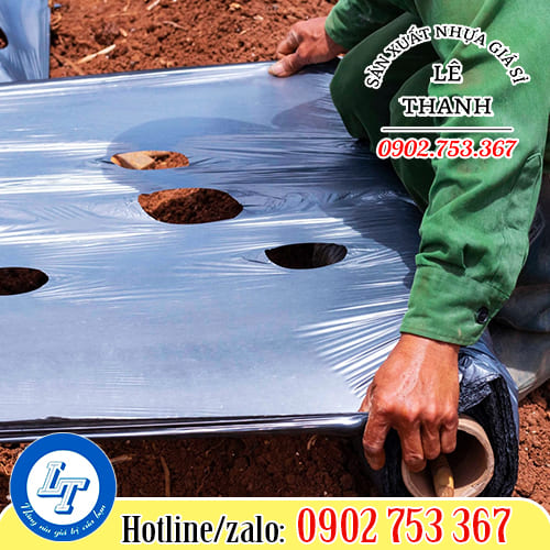 Màng phủ nông nghiệp đục lỗ