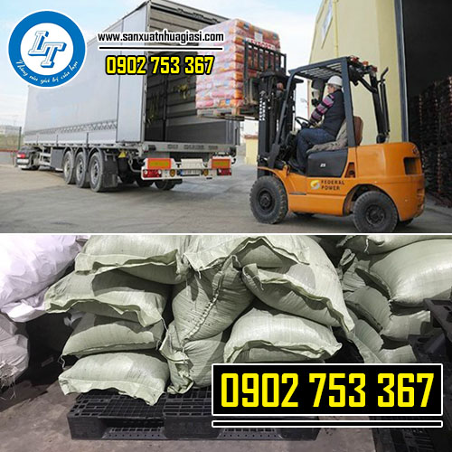 Pallet nhựa giúp tiết kiệm không gian và lên hàng nhanh hơn