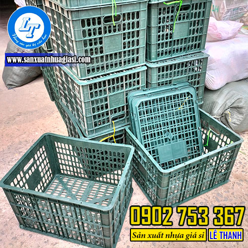 Mua sỉ rổ đóng xoài - quýt số lượng lớn Mua sỉ rổ đóng xoài - quýt số lượng lớn