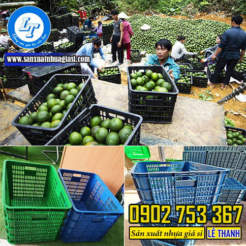 Ứng dụng của sóng nhựa đựng trái cây