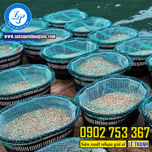 Rổ nhựa nuôi tu hài