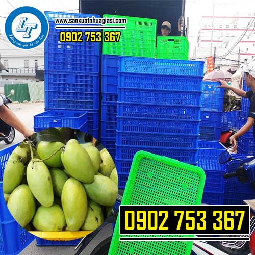 Rổ nhựa đựng xoài nhiều kích thước nhiều màu