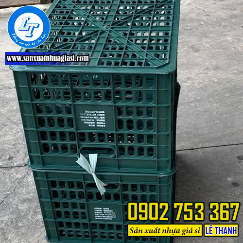 Rổ xoài - quýt xanh đen Rổ xoài - quýt xanh đen