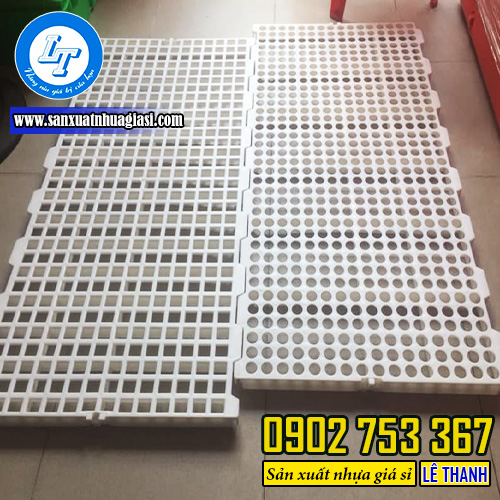 Sàn nhựa chăn nuôi 50x100 lỗ tròn, lỗ vuông