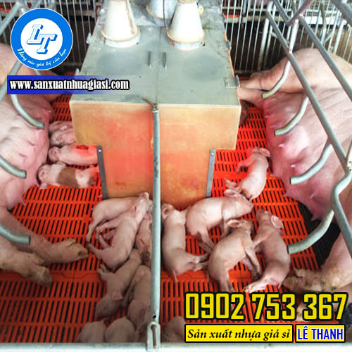 Sàn nhựa chăn nuôi heo loại 40x40