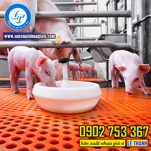 Sàn nhựa chăn nuôi heo lỗ tròn