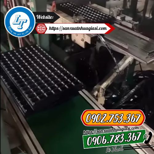 Sản xuất sỉ vỉ ươm cây cho khách Sản xuất sỉ vỉ ươm cây cho khách