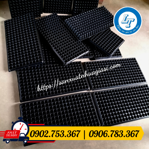 Khay ươm giá bán sỉ rẻ Khay ươm giá bán sỉ rẻ