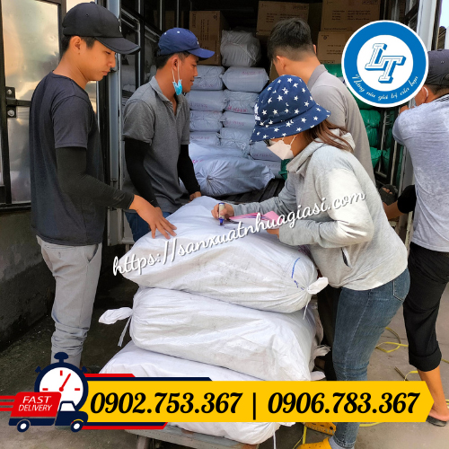 Sỉ túi hột xoài trong suốt giá sỉ rẻ Sỉ túi hột xoài trong suốt giá rẻ