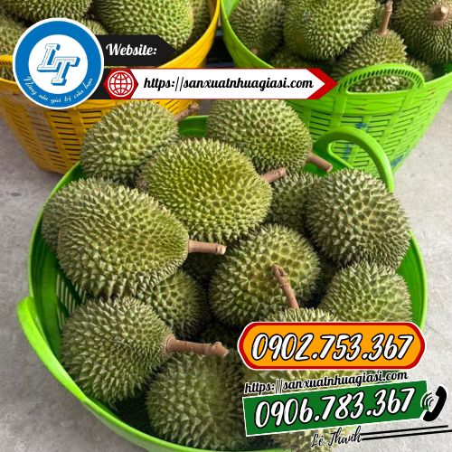 Ứng dụng của cần xé nhựa Ứng dụng của cần xé nhựa