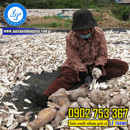 Lưới phơi củ sắn