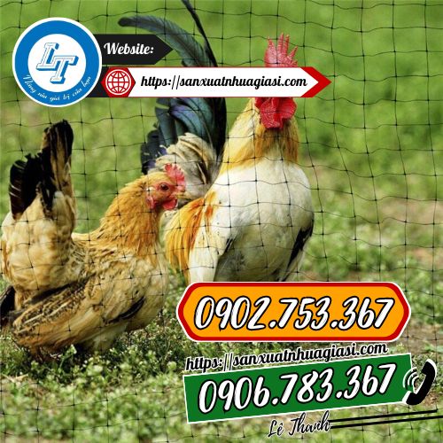 Ứng dụng của lưới rào gà Ứng dụng của lưới rào gà