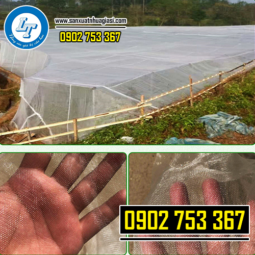 Sử dụng lưới mùng làm nhà kính vừa tiết kiệm lại hiệu quả cao
