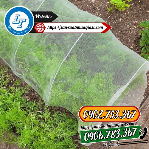 Lưới mùng được sử dụng làm nhà lưới trồng rau Lưới mùng được sử dụng làm nhà lưới trồng rau