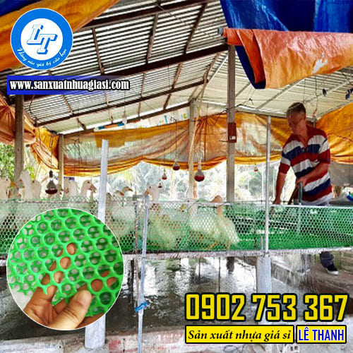 Sử dụng lưới nhựa dẻo lót chuồng chăn nuôi
