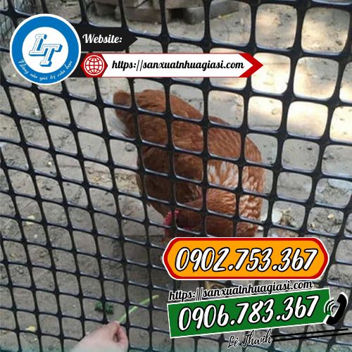 Sử dụng lưới nhựa dẻo làm chuồng gà Sử dụng lưới nhựa dẻo làm chuồng gà