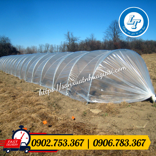 Mô hình nhà kính nông nghiệp Mô hình nhà kính nông nghiệp