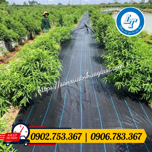 Ứng dụng bạt chống cỏ trong nông nghiệp Ứng dụng bạt chống cỏ trong nông nghiệp
