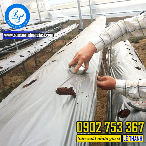 Sử dụng màng phủ nông nghiệp trong trồng trọt