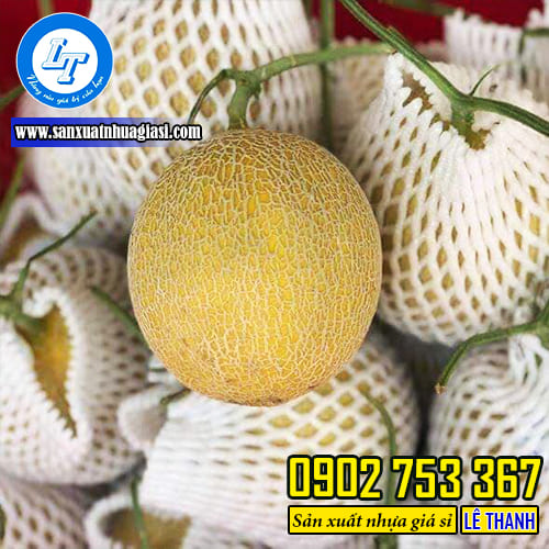 Sử dụng mút xốp bọc dưa lưới giúp dưa lưới trở nên bắt mắt hơn