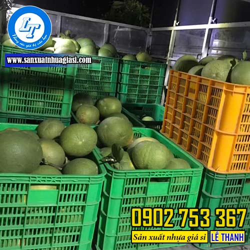 Ứng dụng đựng trái cây của sóng nhựa Ứng dụng đựng trái cây của sóng nhựa