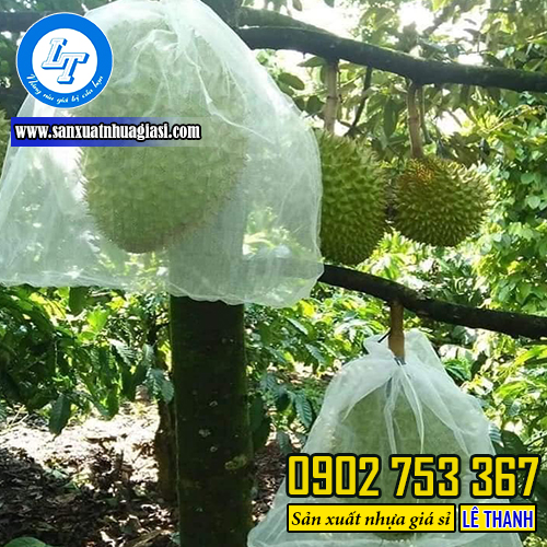 Ứng dụng túi lưới trùm mít Ứng dụng túi lưới trùm mít