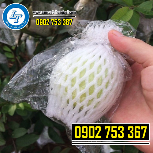 Xốp lưới bọc ổi, dây chun và túi bóng