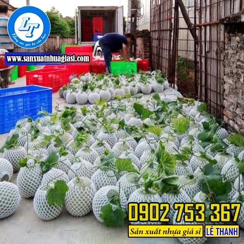 Sử dụng xốp lưới cho trái cây khi vận chuyển