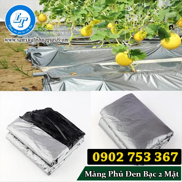 MÀNG NÔNG NGHIỆP CÓ BẠC PHẢN QUANG