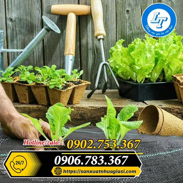 BẠT PHỦ ĐẤT CHỐNG CỎ