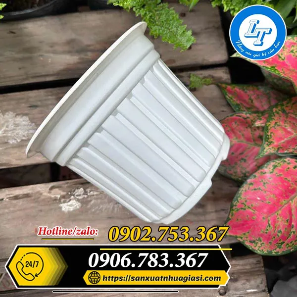 CHẬU NHỰA TRỒNG CÂY