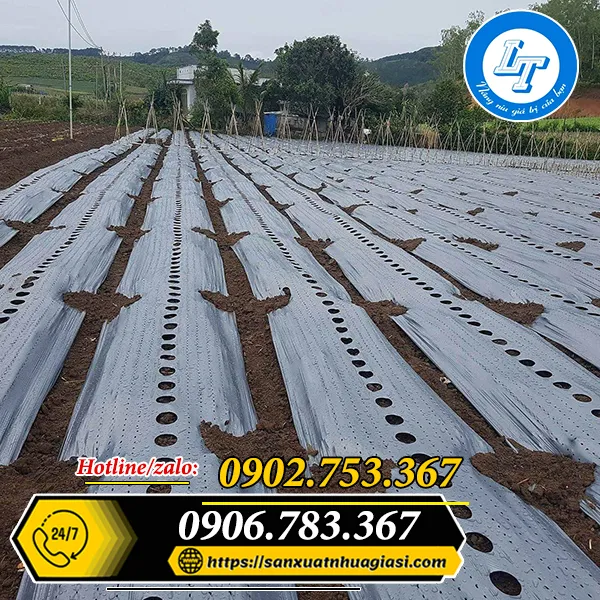 MÀNG PHỦ NÔNG NGHIỆP CÓ ĐỤC LỖ