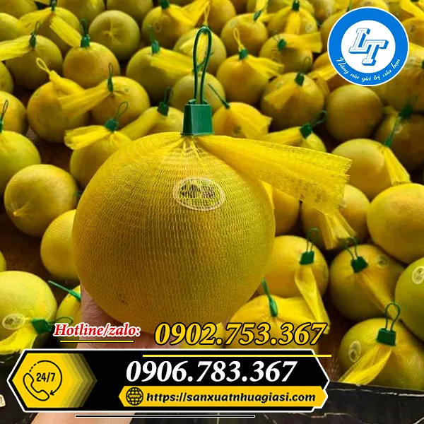 TÚI LƯỚI NHỰA ĐỰNG HOA QUẢ