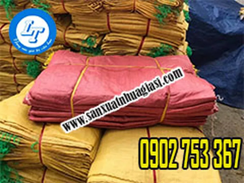 BAO TẢI DỨA MUA Ở ĐÂU TPHCM MIỄN PHÍ GIAO HÀNG