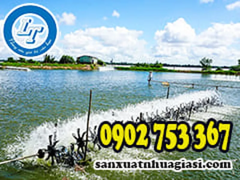 BẠT NHỰA ĐEN NUÔI TÔM GIÁ BAO NHIÊU?