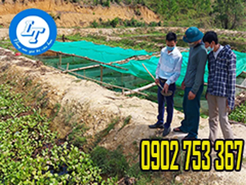 BỎ SỈ LƯỚI LÀM TRÁNG NUÔI ẾCH LƯƠN ỐC GIÁ RẺ