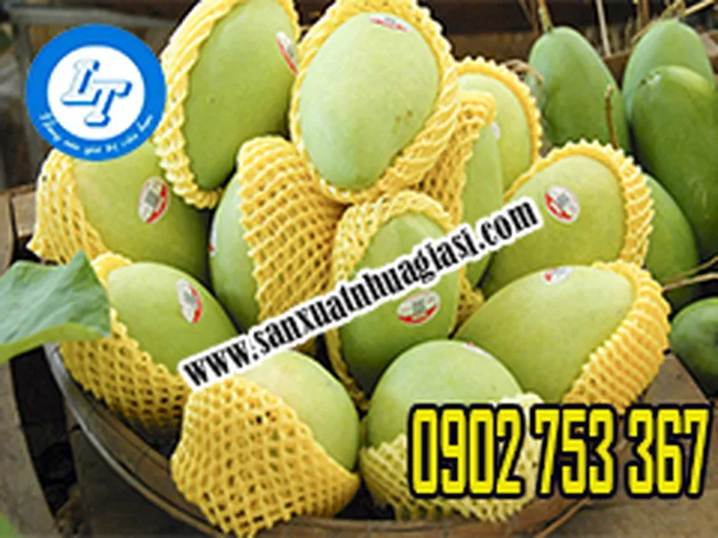 CÔNG TY SẢN XUẤT BAO XỐP BỌC TRÁI CÂY GIÁ SỈ TỐT KHU VỰC HCM