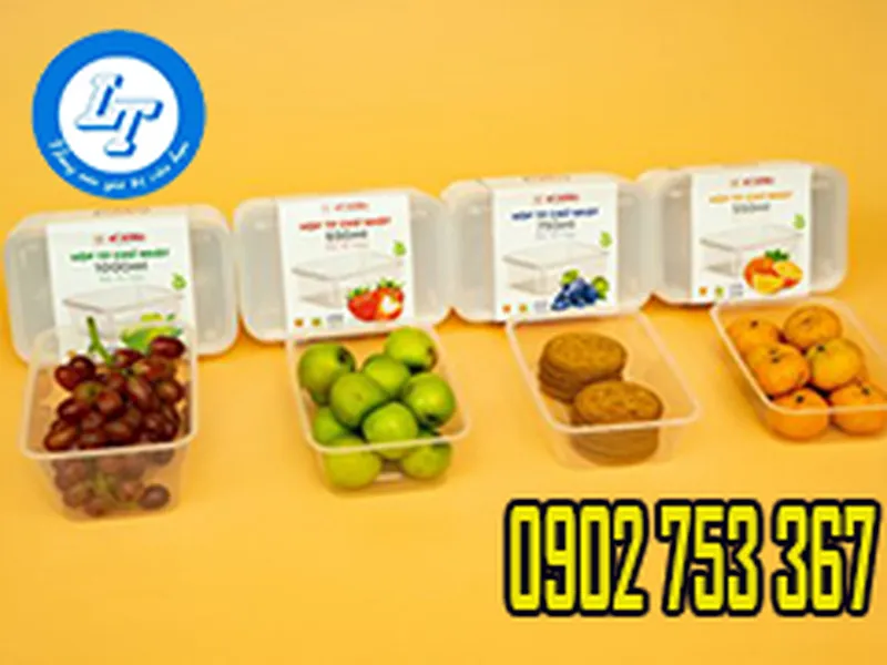 HỘP NHỰA TRONG ĐỰNG THỰC PHẨM GIÁ SỈ RẺ HCM