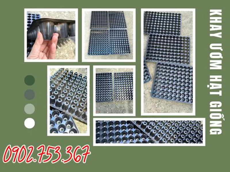 MUA SỈ KHAY ƯƠM LỖ TRÒN GIÁ RẺ TẠI ĐÂY