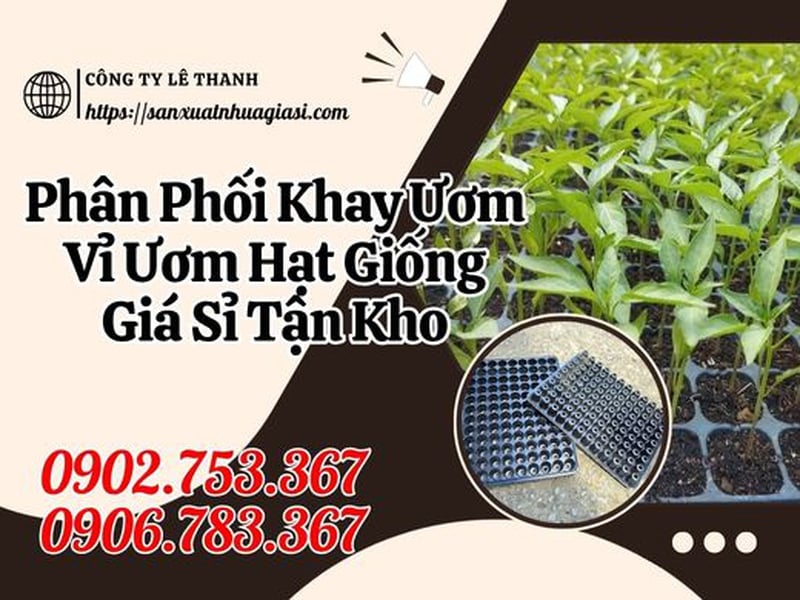 Xưởng Phân Phối Khay Ươm Vỉ Ươm Hạt Giống Giá Sỉ Tận Kho
