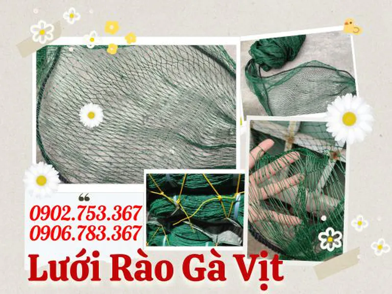 NHÀ PHÂN PHỐI LƯỚI GÀ LUỒN DÂY 2MX50M GIÁ SỈ CẠNH TRANH CAO HCM