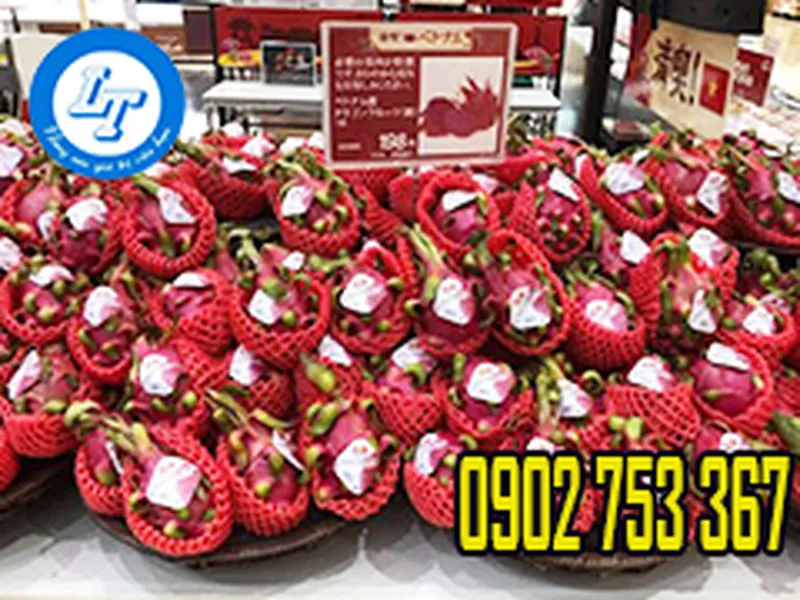 LƯỚI XỐP BỌC TRÁI CÂY ĐỦ MÀU ĐỦ KÍCH THƯỚC GIÁ SỈ RẺ