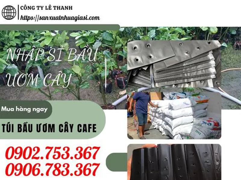 NHẬP SỈ BỊCH ƯƠM BẦU CAFE GIÁ RẺ MIỀN NAM