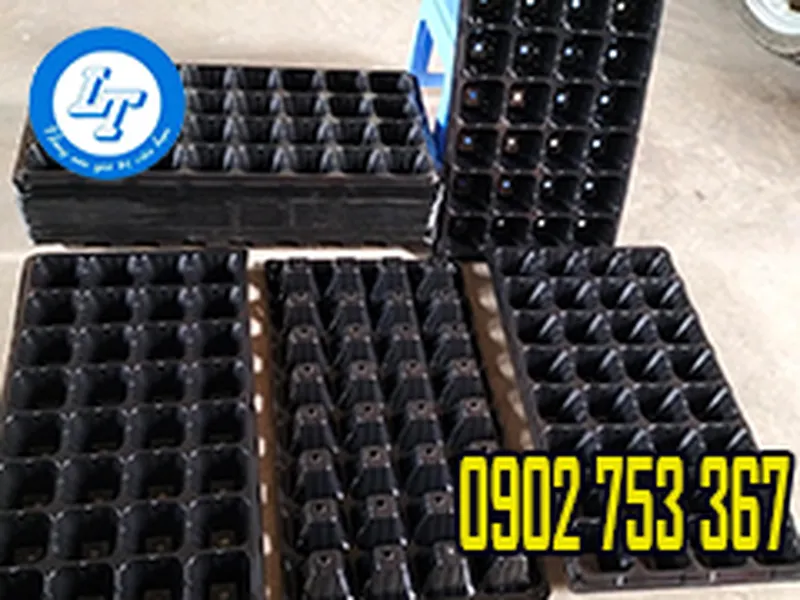 PHÂN PHỐI KHAY ƯƠM TRỒNG CÂY CON SỈ GIÁ RẺ