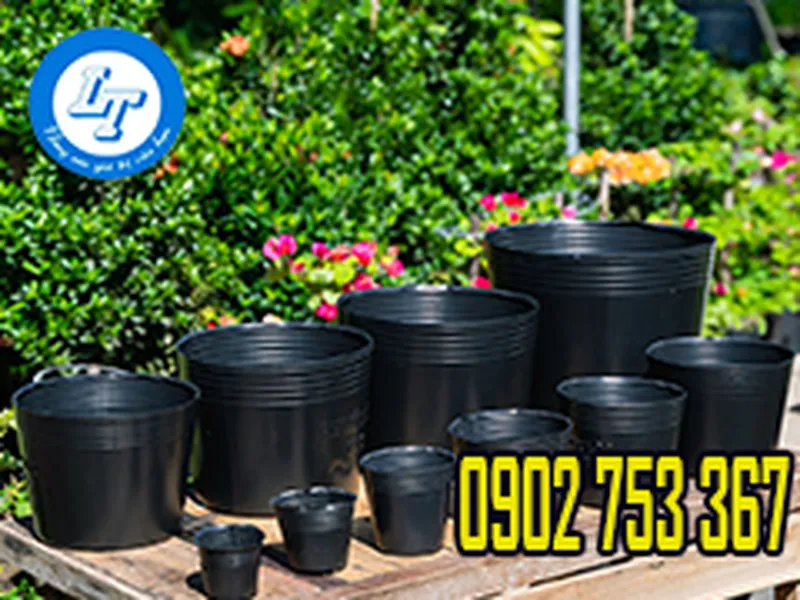 SỈ SỐ LƯỢNG LỚN CHẬU NHỰA MỀM TRỒNG CÂY HCM