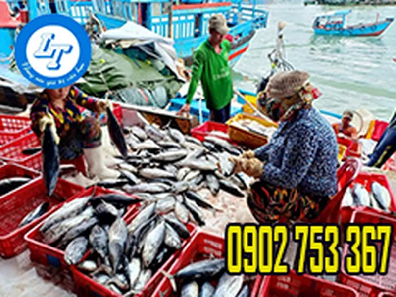 CHUYÊN SỈ SỌT NHỰA TRÒN ĐỰNG HẢI SẢN GIÁ CẠNH TRANH HCM