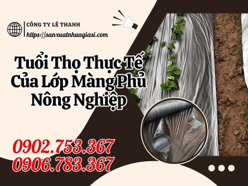 Tuổi Thọ Của Màng Phủ Đất Nông Nghiệp Được Bao Lâu?
