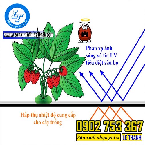Tính năng nổi bật của màng phủ nông nghiệp có bạc phản quang