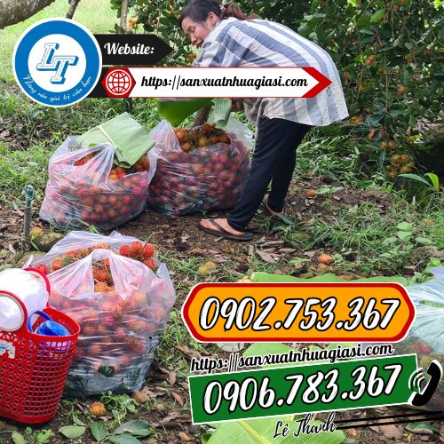 Túi nilon đục lỗ chuyên dùng để đóng gói nông sản Túi nilon đục lỗ chuyên dùng để đóng gói nông sản