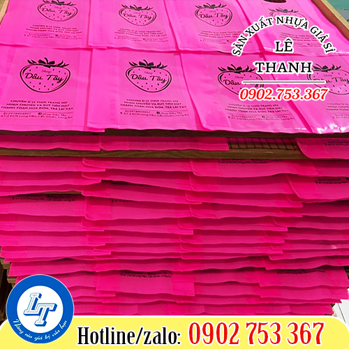 Túi hột xoài HD in logo Túi hột xoài HD in logo